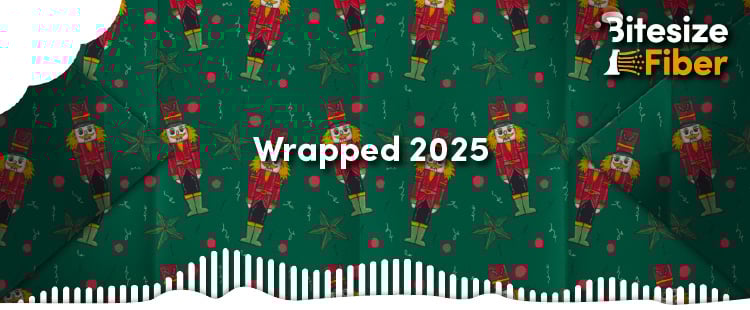 混沌から革新へ、2025年の光ファイバー展開における最大の教訓