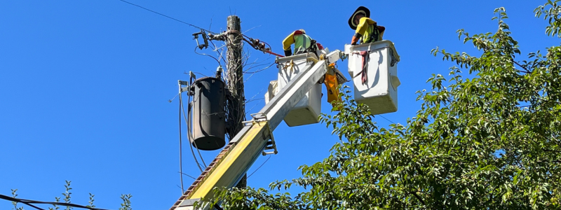 電力網の複雑化と労働力減少のジレンマ 